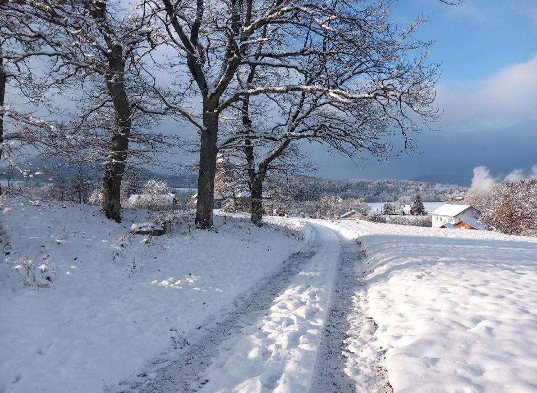 Chez Gigi Et Malou - Gite Brimbelle Champ-le-Duc Exteriör bild